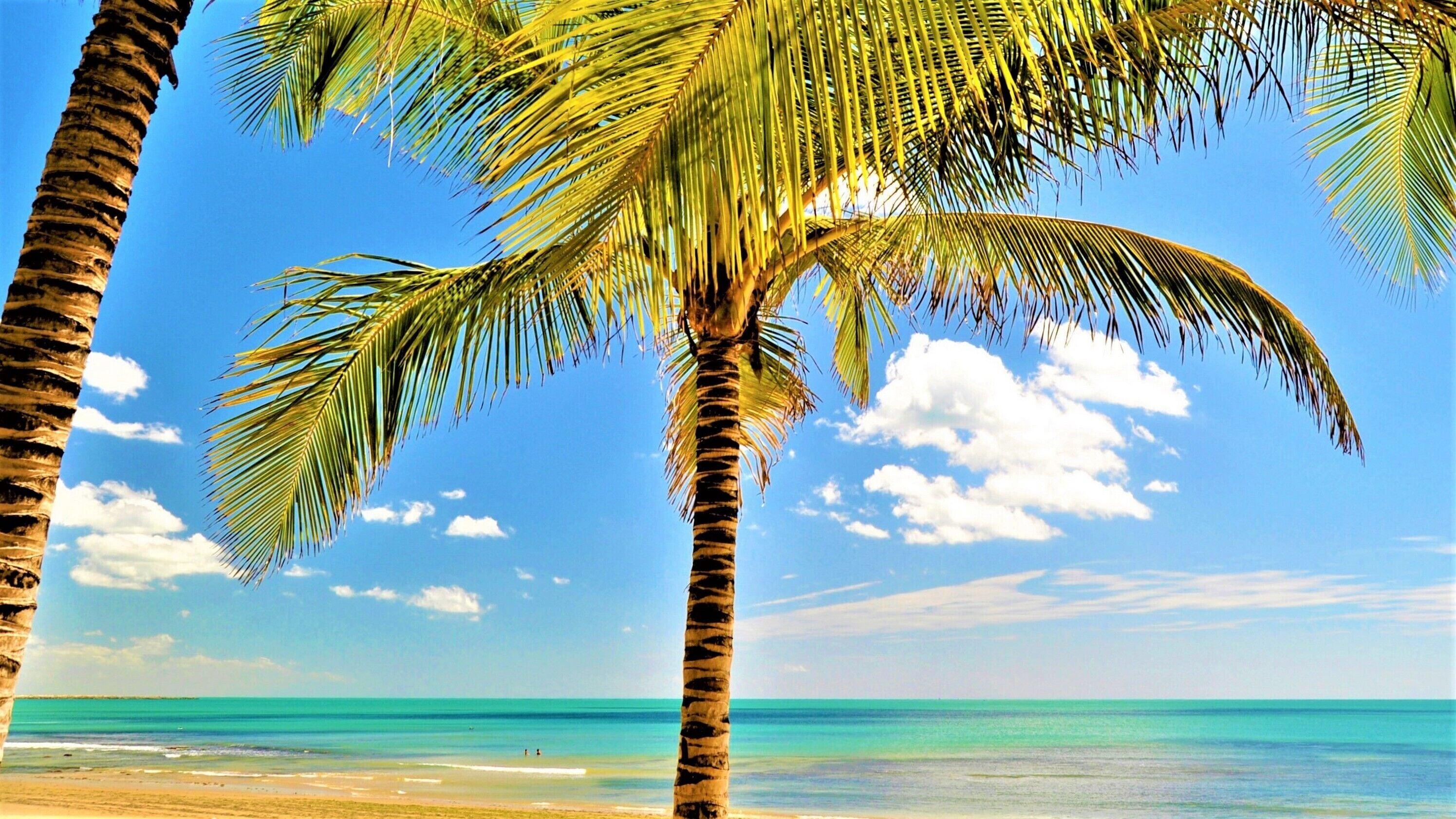 Seaflats Iate Plaza Hotel 4*