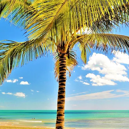 Seaflats Iate Plaza Hotel 4*